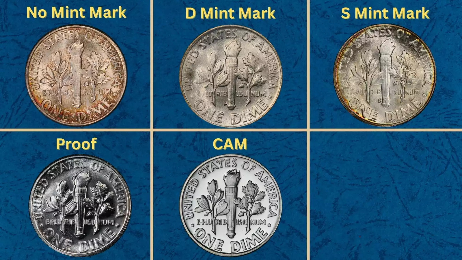 Group of 1953 Roosevelt silver dimes from Philadelphia Denver and San Francisco mints showing mint marks and typical specimens